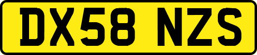 DX58NZS