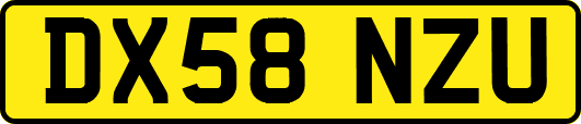 DX58NZU