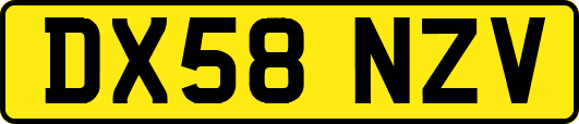 DX58NZV