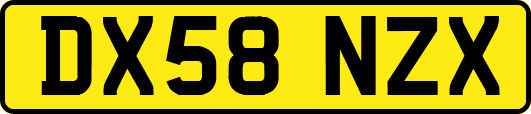 DX58NZX