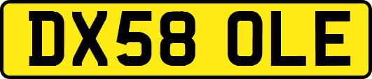 DX58OLE