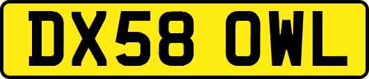 DX58OWL