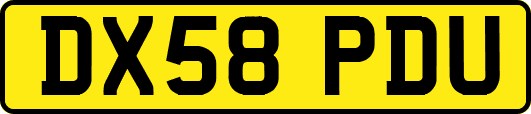 DX58PDU