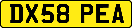 DX58PEA
