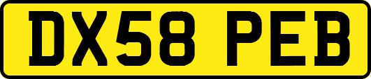 DX58PEB