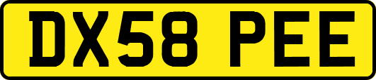 DX58PEE