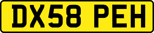 DX58PEH