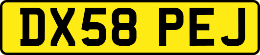 DX58PEJ