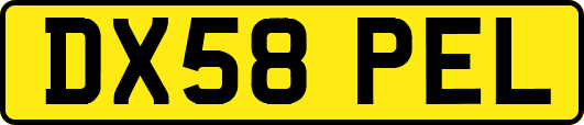 DX58PEL