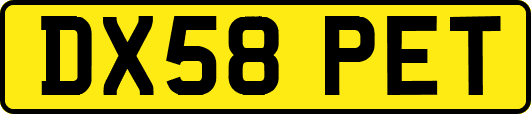 DX58PET