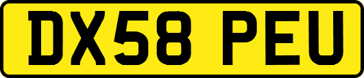 DX58PEU