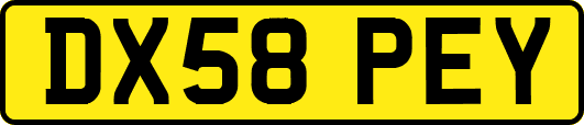 DX58PEY