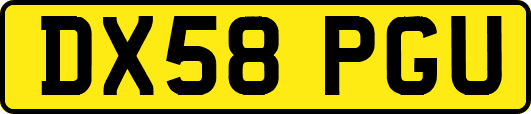 DX58PGU