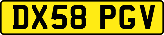 DX58PGV