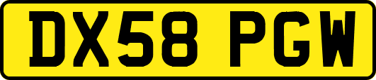 DX58PGW