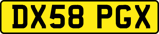 DX58PGX