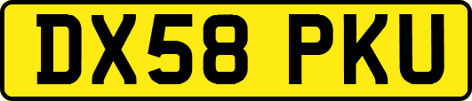 DX58PKU