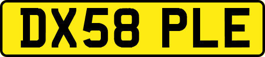 DX58PLE