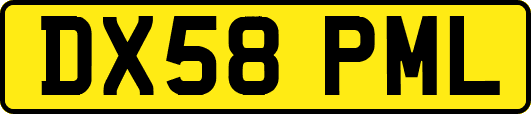 DX58PML