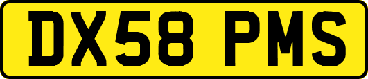 DX58PMS