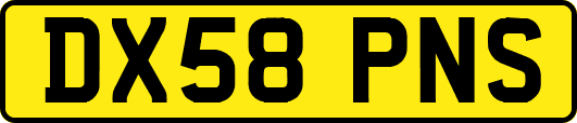 DX58PNS