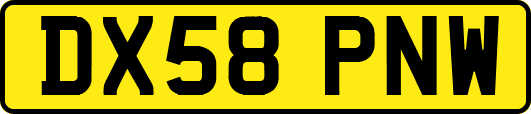 DX58PNW