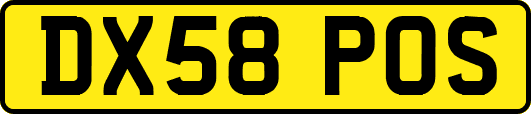 DX58POS