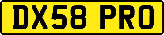 DX58PRO