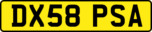 DX58PSA