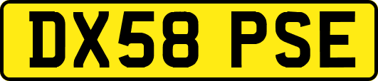 DX58PSE
