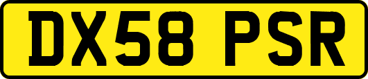 DX58PSR