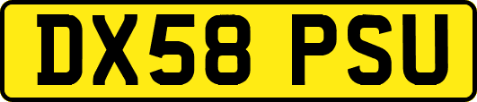 DX58PSU