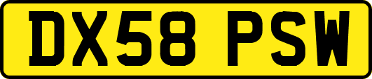 DX58PSW