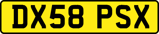 DX58PSX
