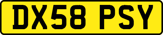 DX58PSY