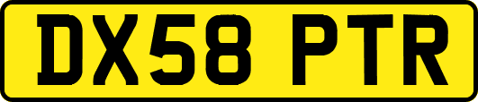 DX58PTR