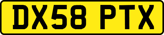 DX58PTX