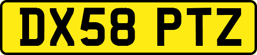 DX58PTZ
