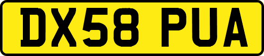 DX58PUA