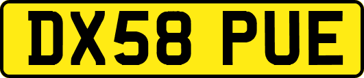 DX58PUE