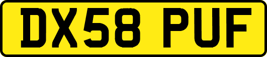 DX58PUF