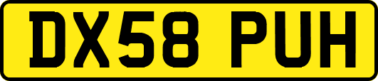 DX58PUH