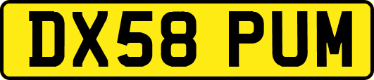 DX58PUM