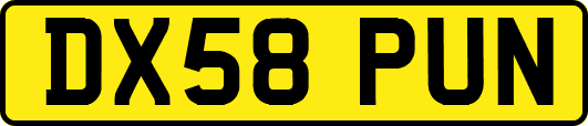DX58PUN