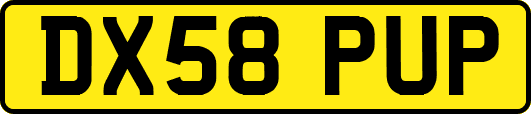 DX58PUP