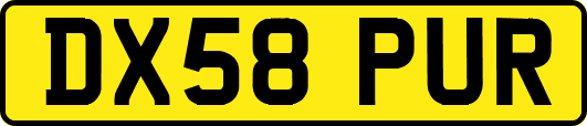 DX58PUR