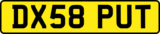 DX58PUT