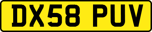 DX58PUV
