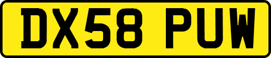 DX58PUW