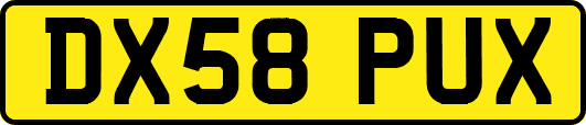 DX58PUX